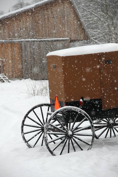 istock Amish Buggy on a Snowy Day 969714262