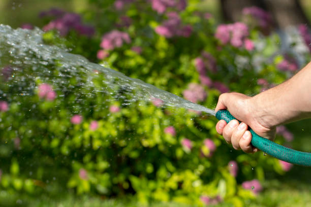 istock Man watering garden with hose, close-up 969717476