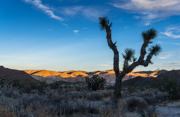istock Morning Sunlight on Red Rock Canyon State Park, California 969719848