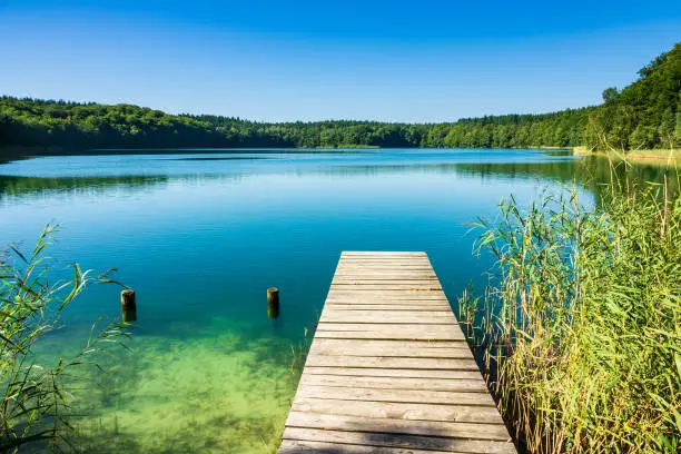 Landscape on a lake with trees and blue sky.