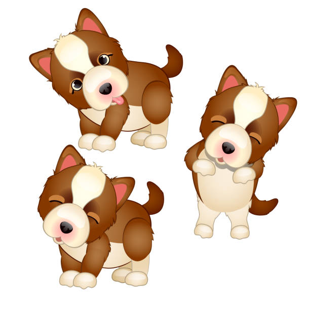 Dog Lick Closeup stock vectors iStock