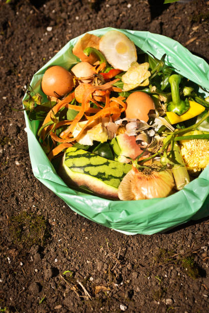 istock Green Recycling Food Waste Compost on Dirt Background 969737236