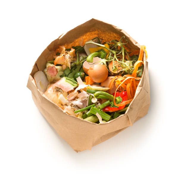 recyclage de compostage des déchets alimentaires sur fond blanc vert - green bag paper bag isolated photos et images de collection
