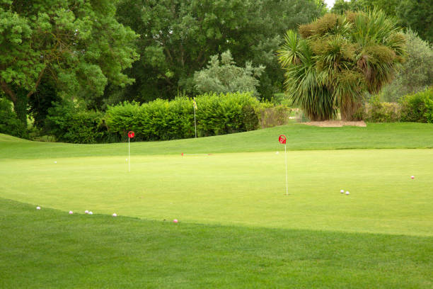 istock Golf course with trees, balls and pegs 969751112