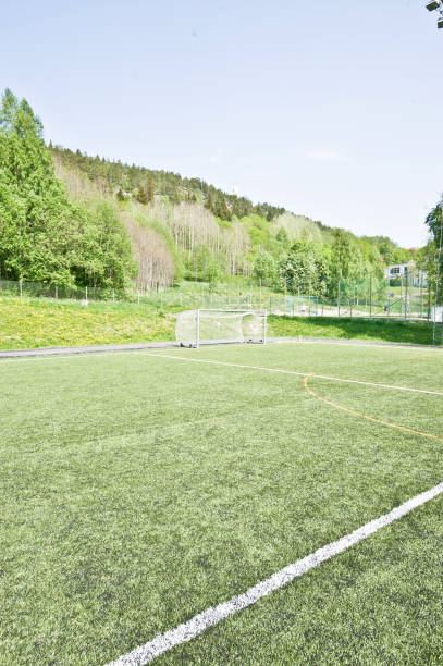 istock Soccer Pitch - Penalty Area 969760060