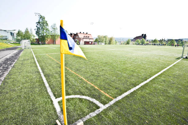 istock Soccer Pitch - Corner Area, Arc & Flag 969770820