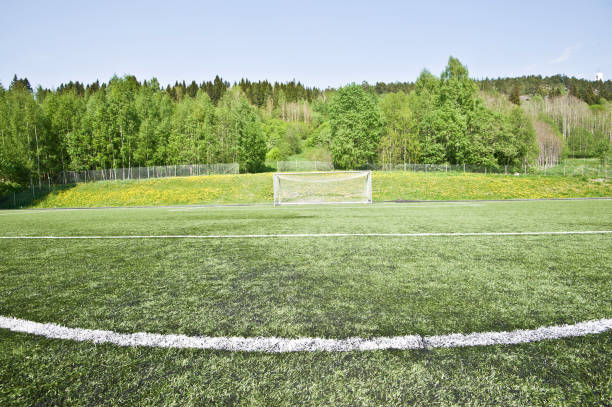 istock Soccer Pitch - Penalty Area 969770974