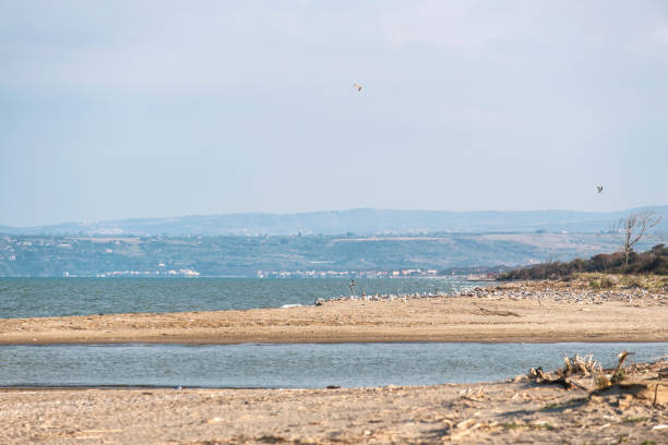 istock protected oasis of the Simeto river in Sicily 969771064