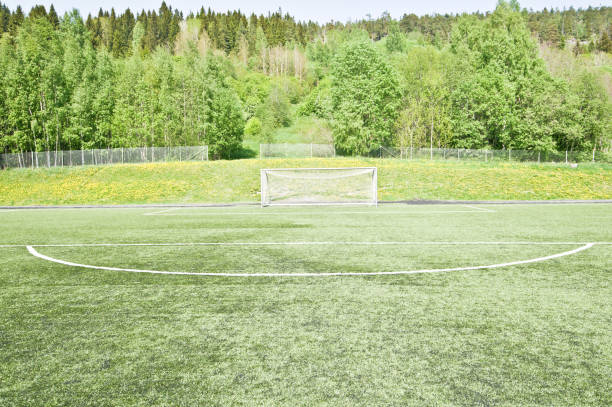 istock Soccer Pitch - Penalty Area 969771128