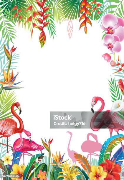 Frame From Tropical Flowers And Flamingoes Stock Illustration - Download Image Now - Flamingo, Border - Frame, Palm Tree