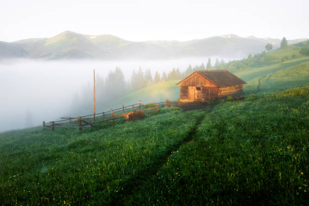 istock Alone house on foggy meadow 969812600