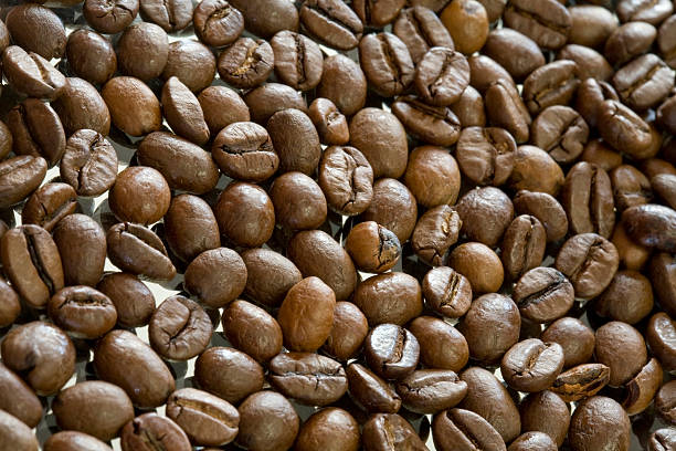 Roasted coffee beans stock photo