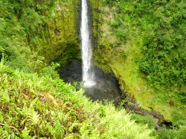 cascata hawaiana - cave fern flowing forest foto e immagini stock