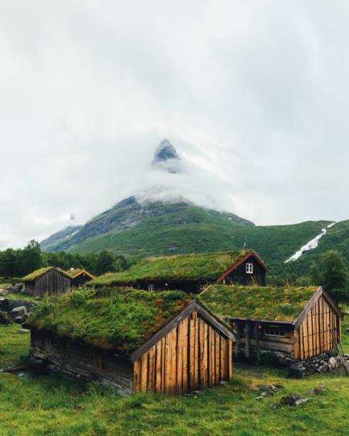 istock Norwegian grass roof old house 969824194