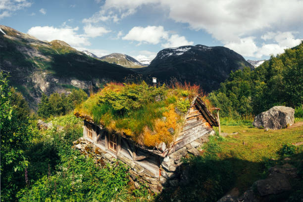 The grass-roofed houses in Norway