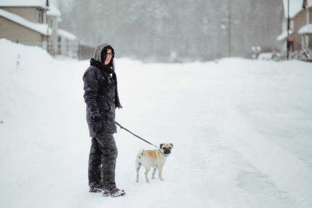 istock Woman and a pug dog during winter 969827162