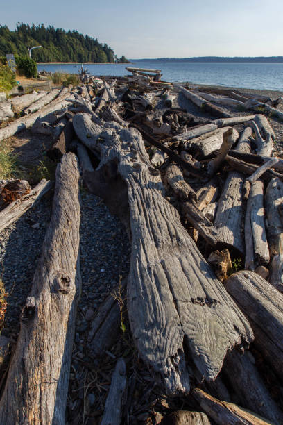 istock City Scenery of Seattle 969834656