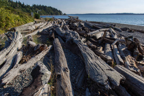 istock City Scenery of Seattle 969834658