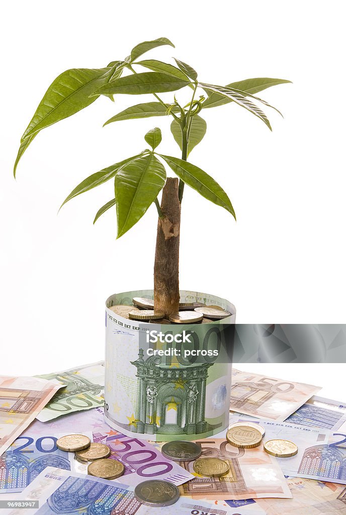 Success  Branch - Plant Part Stock Photo