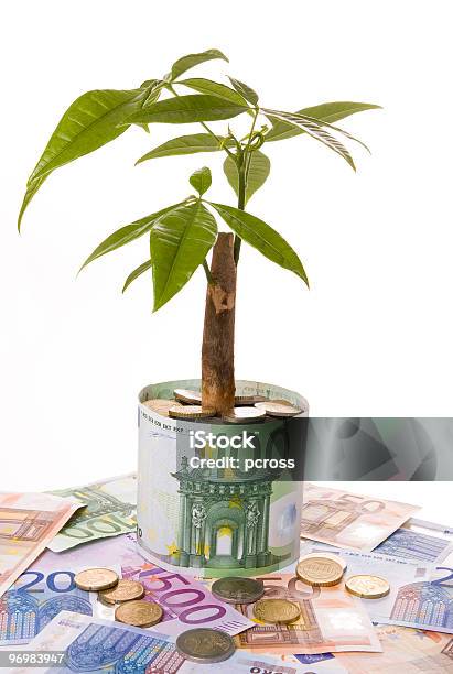 Success Stock Photo - Download Image Now - Branch - Plant Part, Care, Coin