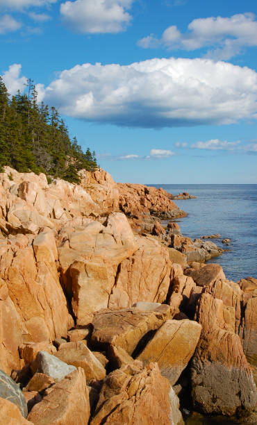 istock Maine Coast at Acadia National Park 969842580