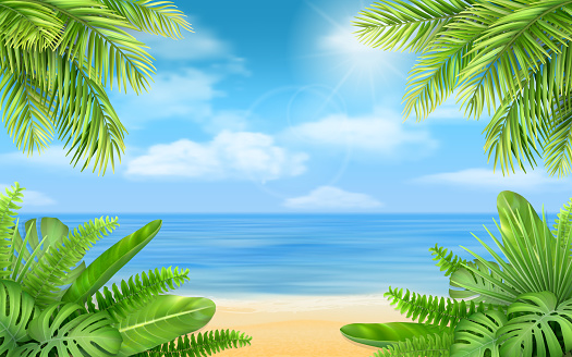 Sea beach and tropical bushes. Vector background with exotic plants for design vacation or travel advertising card.