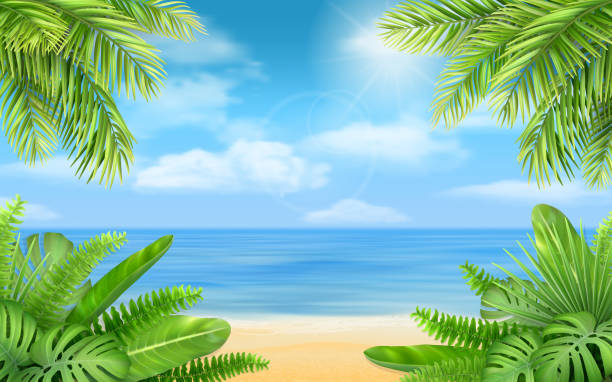 sea beach and tropical bushes Sea beach and tropical bushes. Vector background with exotic plants for design vacation or travel advertising card. beach background stock illustrations