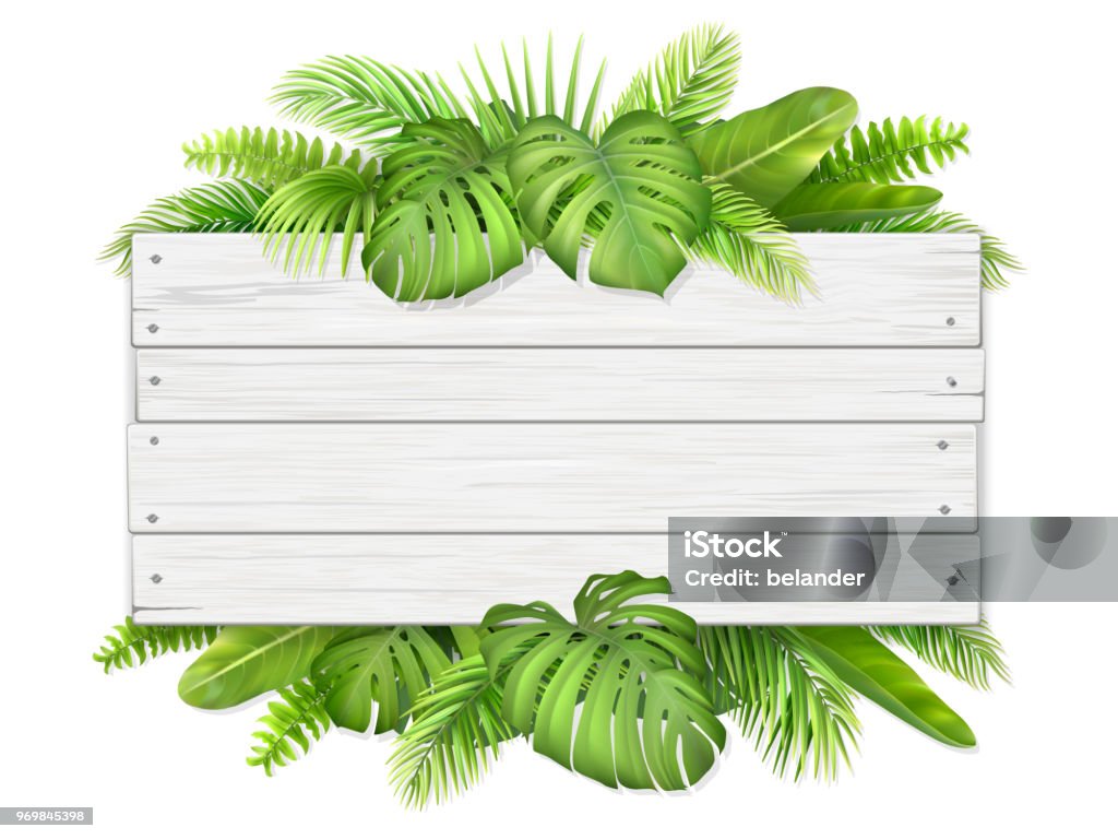 cartel de madera con hojas tropicales - arte vectorial de Madera - Material libre de derechos
