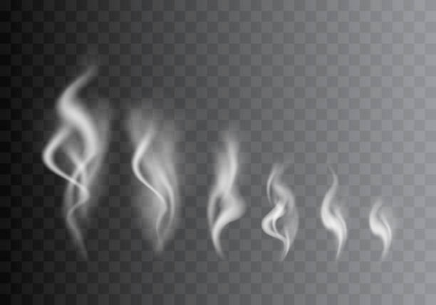 ilustrações de stock, clip art, desenhos animados e ícones de realistic detailed 3d images smoke set. vector - cigarette tobacco symbol three dimensional shape