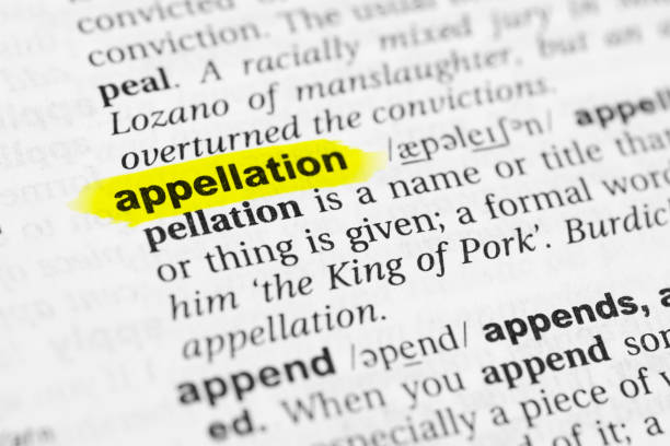 istock Highlighted English word 