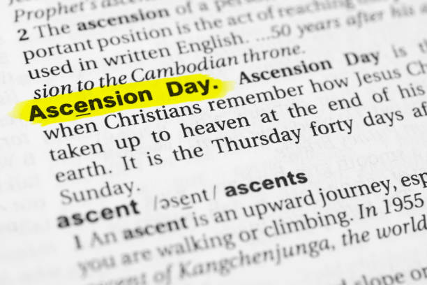 istock Highlighted English word 