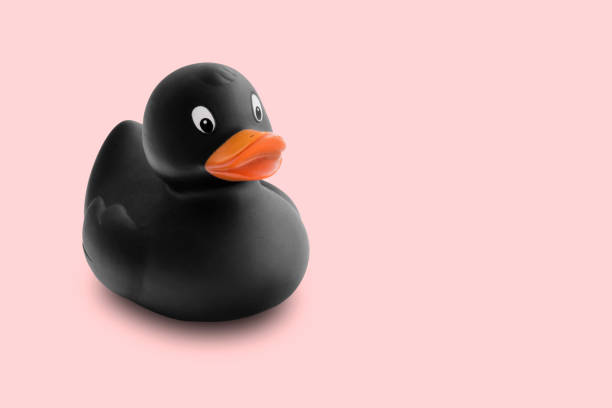 istock Black rubber duck in isolated pink pastel background 969856328