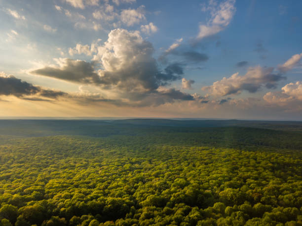 istock Cloudy Sunrise from Airplane Over Forest and Mountains 969860084