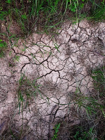 Soil Path Cracked Ground Path Soil With Dry Grass Ecology Concept Cracked Earth ...