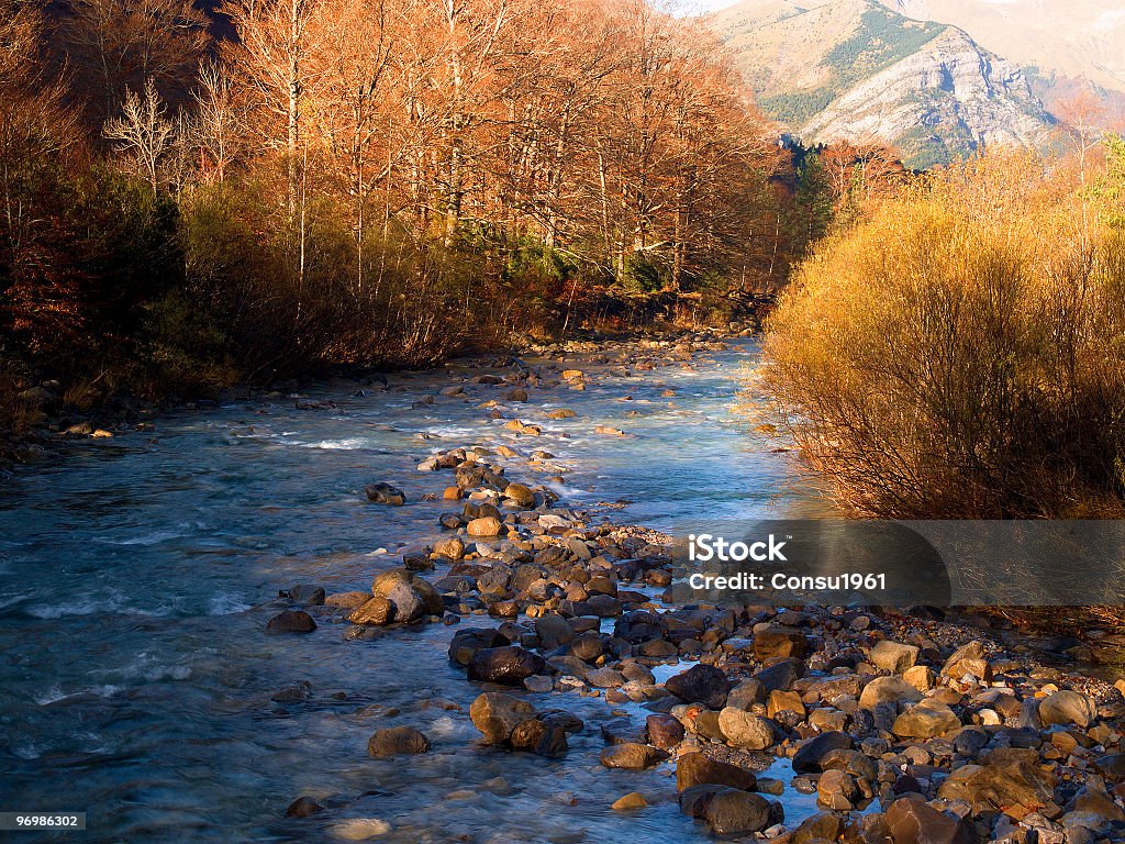 Arazas río - Foto de stock de Aire libre libre de derechos