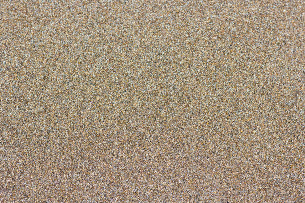 Sandy beach background. Detailed sand texture, top view