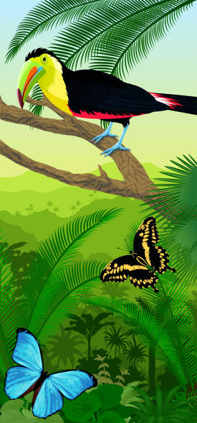 Vector Jungle rainforest vertical baner with rainbow-billed toucan and morpho butterflies Vector Jungle rainforest vertical baner with rainbow-billed toucan and morpho butterflies rainbow toucan stock illustrations