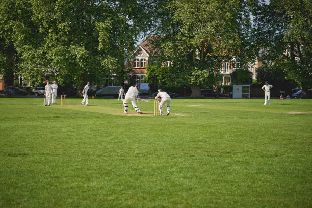pessoas jogando críquete no parque no sul de londres. - oval cricket ground - fotografias e filmes do acervo
