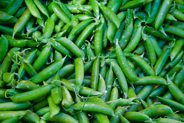 full frame Farmer's market english shelling peas stock photo