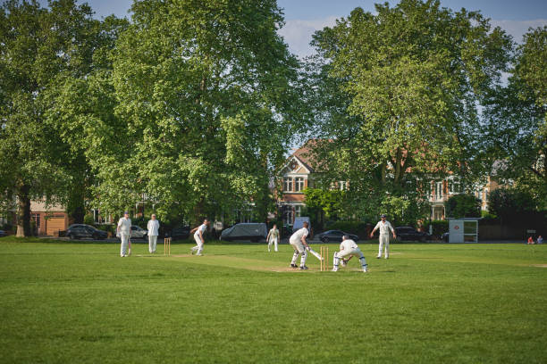 pessoas jogando críquete no parque no sul de londres. - oval cricket ground - fotografias e filmes do acervo