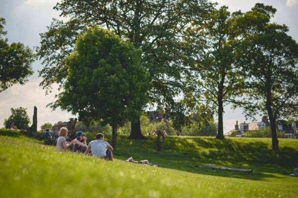 young people sitting in a park in south-east london. - southeast england imagens e fotografias de stock