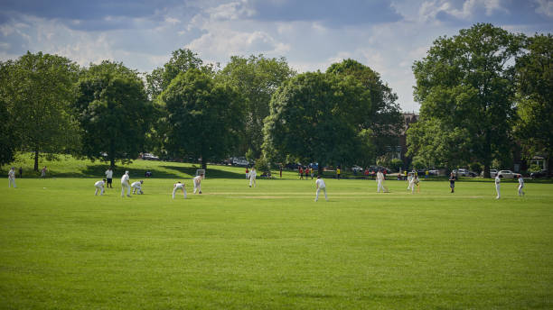ludzie grający w krykieta w parku w południowym londynie. - oval cricket ground zdjęcia i obrazy z banku zdjęć