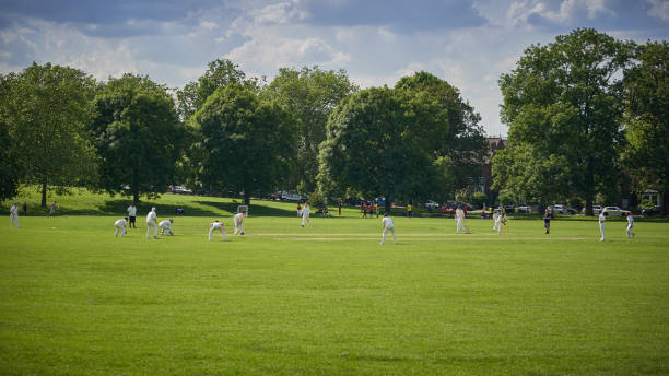 pessoas jogando críquete no parque no sul de londres. - oval cricket ground - fotografias e filmes do acervo