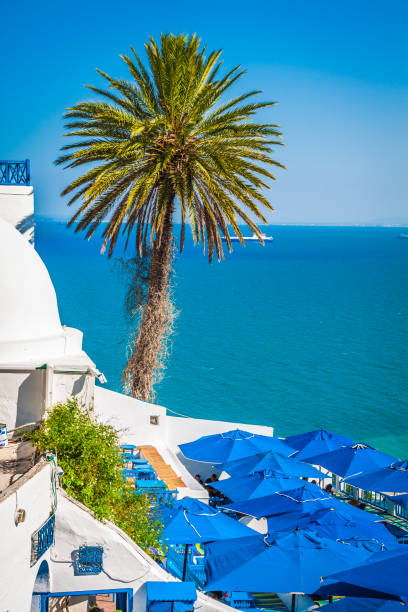 istock Cafe with beautiful view on Sidi Bou Said harbour 969878838