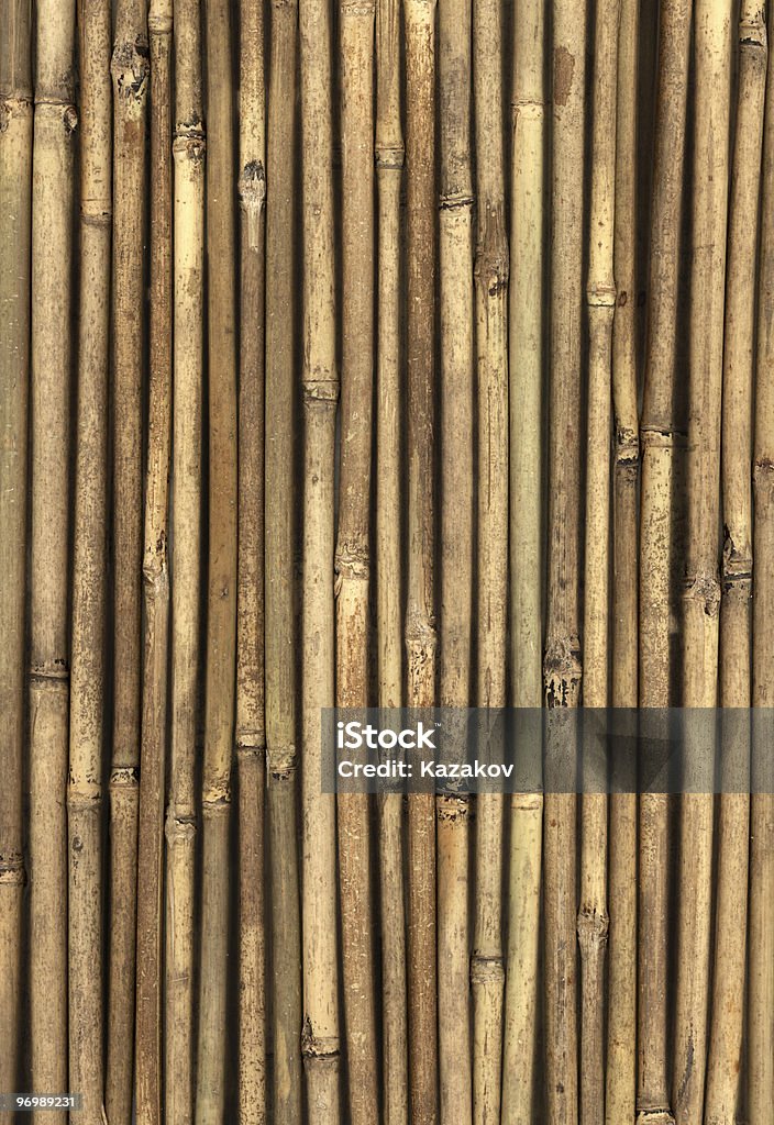 Pared de bambú - Foto de stock de Abstracto libre de derechos