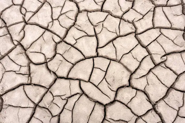 Photo of Dried out soil with cracks when dry