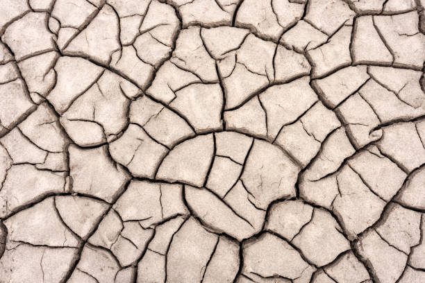 dried out soil with cracks when dry - leito de rio imagens e fotografias de stock