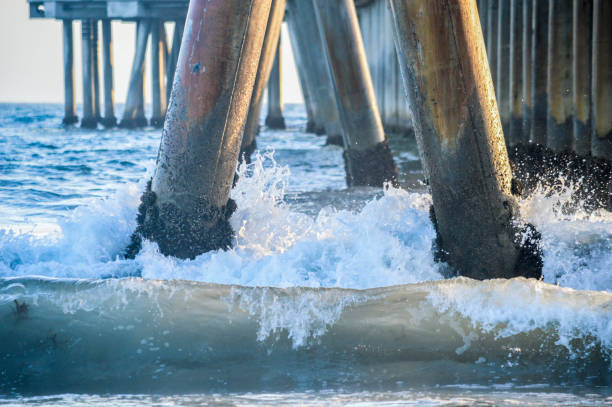 pier de pesca de praia de veneza ao pôr do sol em veneza/marina del rey, ca - port of venice - fotografias e filmes do acervo