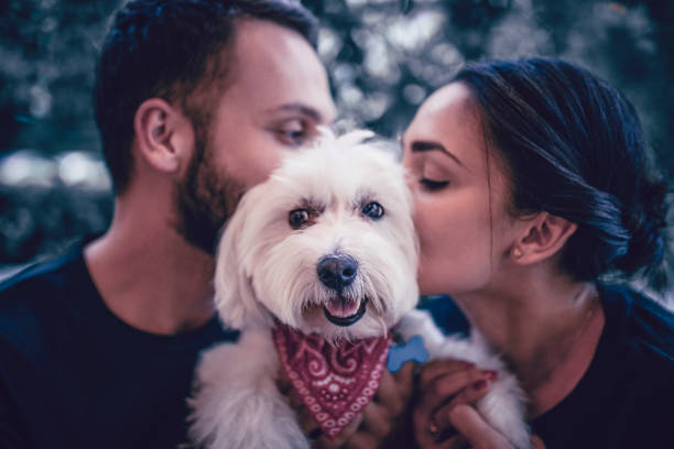 Young Couple Kissing Their Furry Canine Friend Young Couple Kissing Their Furry Canine Friend pet adoption photos stock pictures, royalty-free photos & images