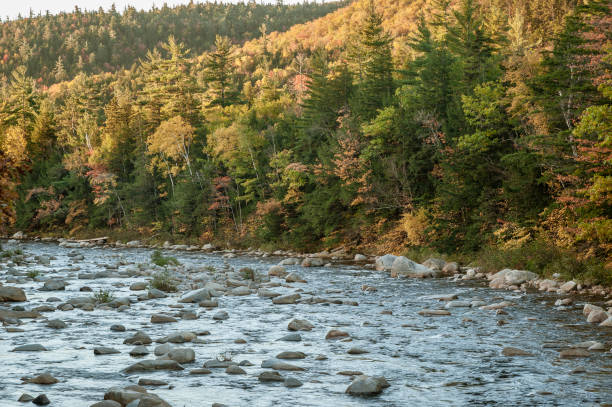 istock Swift River littered with rocks near the Albany Covered Bridge 969912810